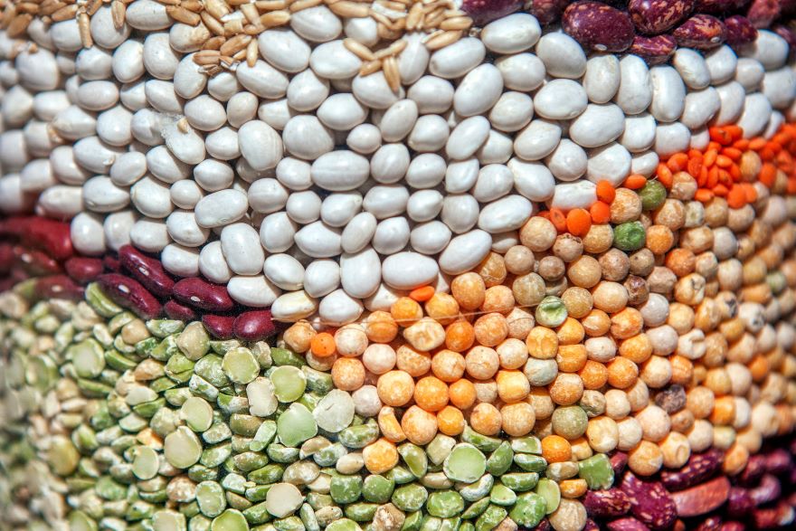 different colored colombian lentils