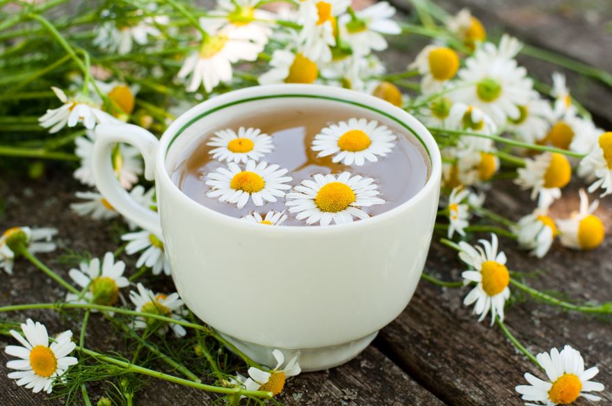 Organic chamomile tea with chamomile flowers next to cup