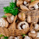 Growing Portobello mushrooms in a basket