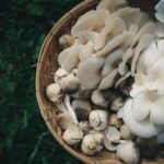 Straw mushrooms in a basket