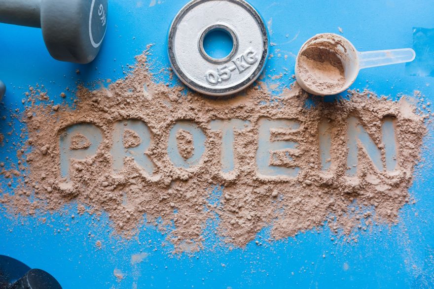 Best protein powders with the word protein in the powder