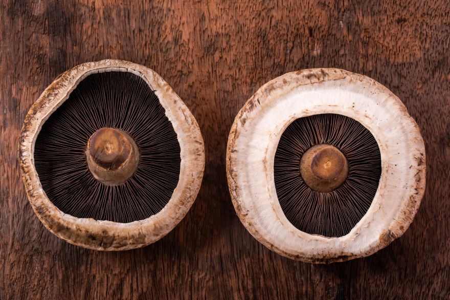 Negative effects of Portobello mushrooms with two mushrooms