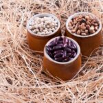 Great northern beans v navy beans with three cups of different beans