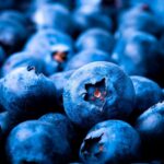 Organic blueberries with big blueberries covering the whole picture