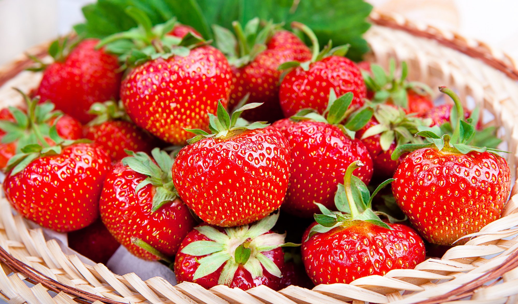 Organic strawberries in a basket